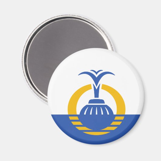 Vlag van Orlando, Florida Magneet (Voorkant / Achterkant)