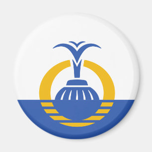 Vlag van Orlando, Florida Magneet