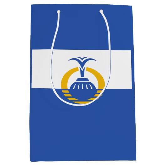 Vlag van Orlando, Florida Medium Cadeauzakje (Voorkant)