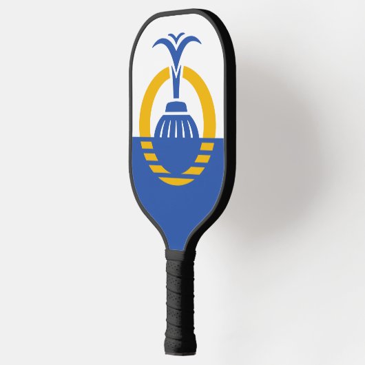 Vlag van Orlando, Florida. Pickleball Paddle (Links)