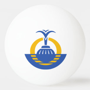 Vlag van Orlando, Florida. Pingpongbal