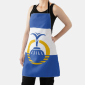 Vlag van Orlando, Florida Schort (Insitu)