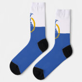 vlag van Orlando (Florida) Sokken (Links)
