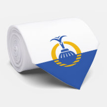 Vlag van Orlando (Florida)