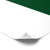 Vlag van Pakistan Foto Afdruk (Hoek)