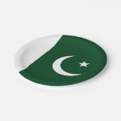 Vlag van Pakistan Papieren Bordje (Gekanteld)