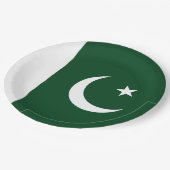 Vlag van Pakistan Papieren Bordje (Gekanteld)