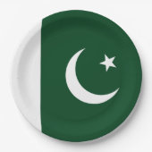 Vlag van Pakistan Papieren Bordje (Voorkant)