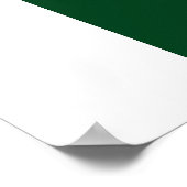 Vlag van Pakistan Poster (Hoek)