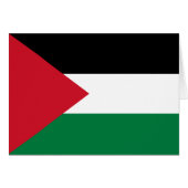 Vlag van Palestina (Voorkant Horizontaal)