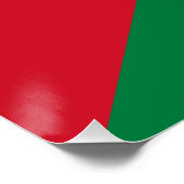 Vlag van Palestina Perfect Poster (Hoek)