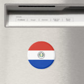 Vlag van Paraguay Magneet (Insitu (Vaatwasser))