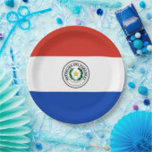 Vlag van Paraguay Papieren Bordje (Feest)