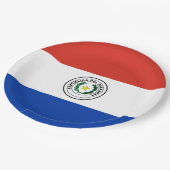 Vlag van Paraguay Papieren Bordje (Gekanteld)