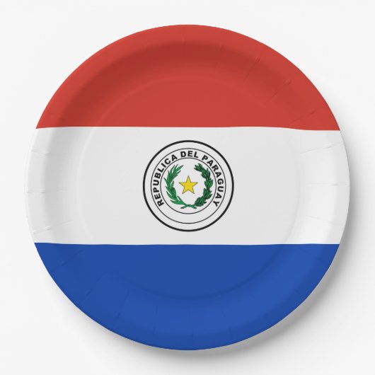 Vlag van Paraguay Papieren Bordje (Voorkant)