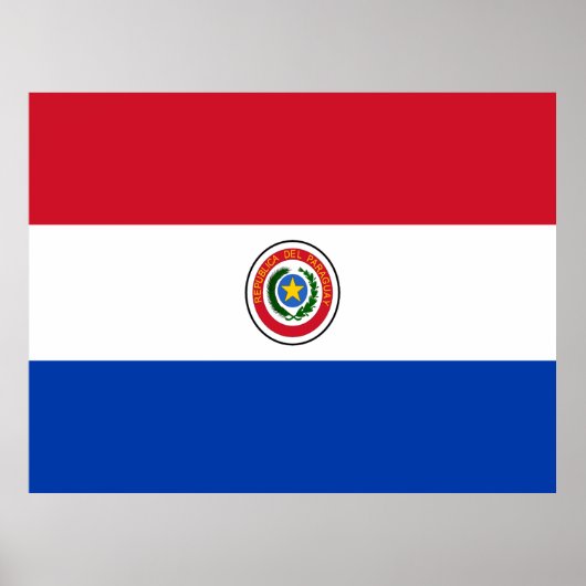 Vlag van Paraguay Poster (Voorkant)