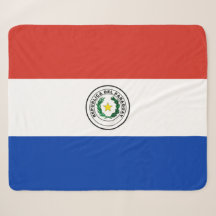 Vlag van Paraguay