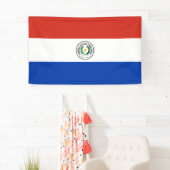 Vlag van Paraguay Spandoek (Insitu)