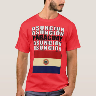 Vlag van Paraguay T-shirt