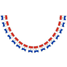 Vlag van Paraguay