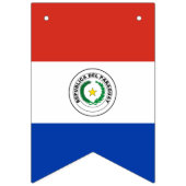 Vlag van Paraguay Vlaggetjes (Eerste vlag)