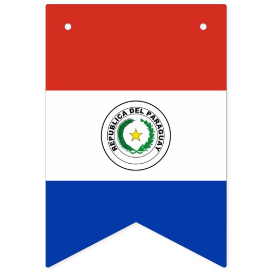 Vlag van Paraguay Vlaggetjes (Derde vlag)