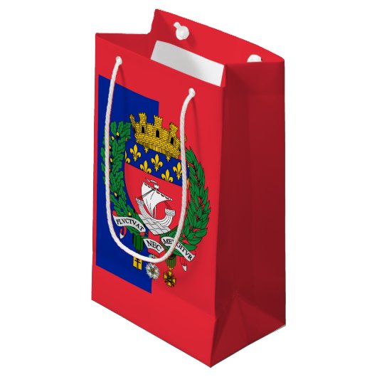 Vlag van Parijs, Frankrijk Small Gift Bag Klein Cadeauzakje (Voorkant Gekanteld)
