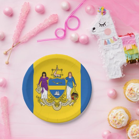 Vlag van Philadelphia, Pennsylvania Paper Bord (Feest)