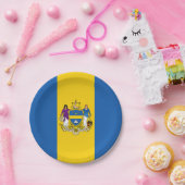 Vlag van Philadelphia, Pennsylvania Paper Bord (Feest)