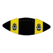 Vlag van Pittsburgh, Football Pennsylvania (Paneel)