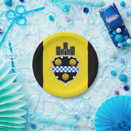 Vlag van Pittsburgh, Pennsylvania Paper Bord (Feest)