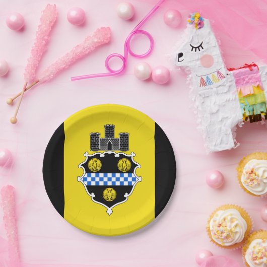 Vlag van Pittsburgh, Pennsylvania Paper Bord (Feest)