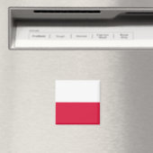 Vlag van Polen Magneet (Insitu (Vaatwasser))