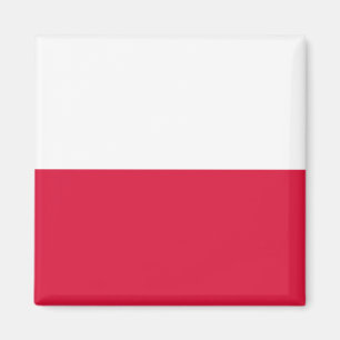 Vlag van Polen Magneet