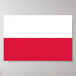 vlag van Polen Poster