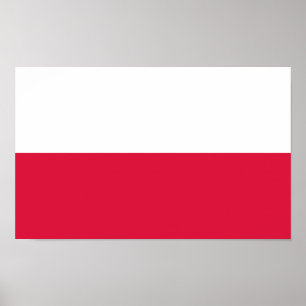 Vlag van Polen Poster