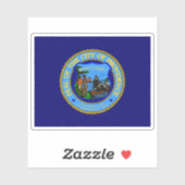 Vlag van Providence, Rhode Island, Verenigde State Sticker (Vel)