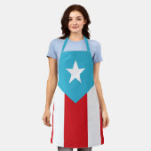 Vlag van Puerto Rico 1892 Schort (Gedragen)