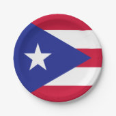 Vlag van Puerto Rico Papieren Bordje (Voorkant)