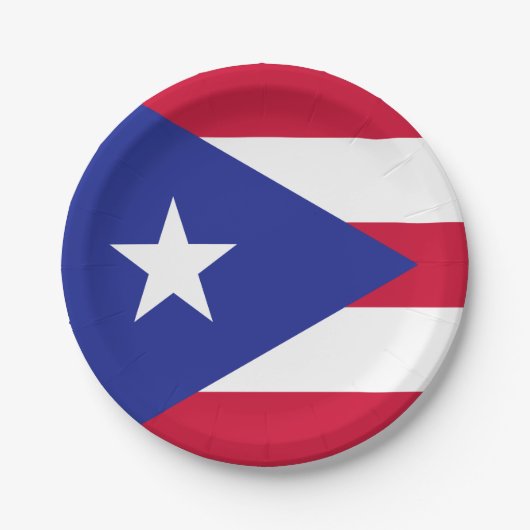 Vlag van Puerto Rico Papieren Bordje (Voorkant)