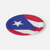 Vlag van Puerto Rico Papieren Bordje (Gekanteld)
