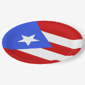 vlag van Puerto Rico Papieren Bordje (Gekanteld)
