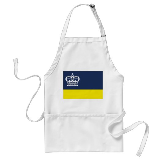 Vlag van Regina, Saskatchewan Adult Apron Standaard Schort (Voorkant)