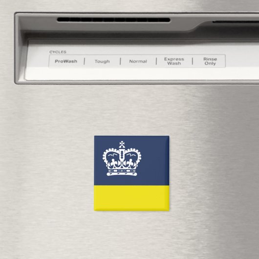 Vlag van Regina (Saskatchewan, Canada) Magneet (Insitu (Vaatwasser))