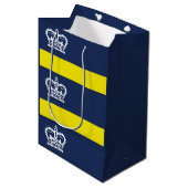 Vlag van Regina, Saskatchewan Medium Gift Bag Cadeauzakje (Voorkant Gekanteld)