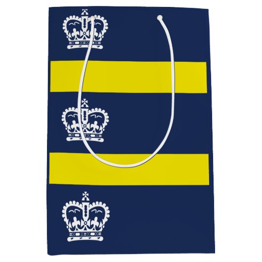 Vlag van Regina, Saskatchewan Medium Gift Bag Cadeauzakje (Voorkant)