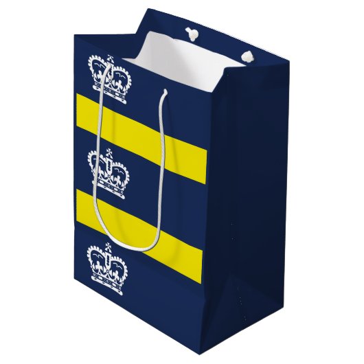 Vlag van Regina, Saskatchewan Medium Gift Bag Medium Cadeauzakje (Voorkant Gekanteld)
