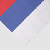 Vlag van Republika Srpska Tissuepapier (Detail)