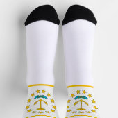 Vlag van Rhode Island Sokken (Top)