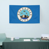 Vlag van Rochester (Minnesota) Spandoek (Beurs)